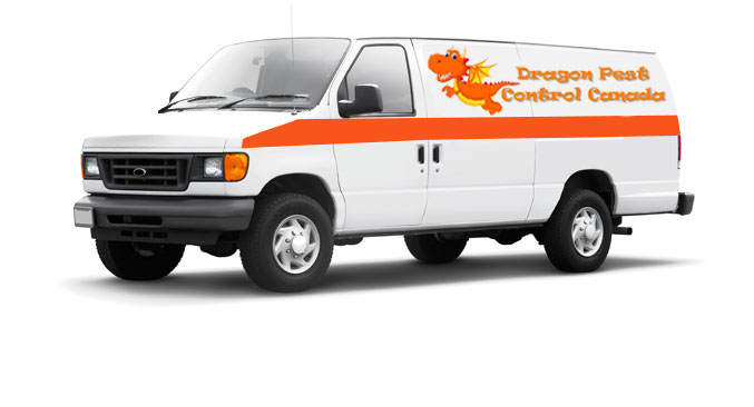 Dragon Pest Control Van